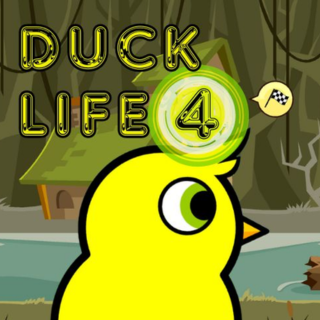 Duck Life 4